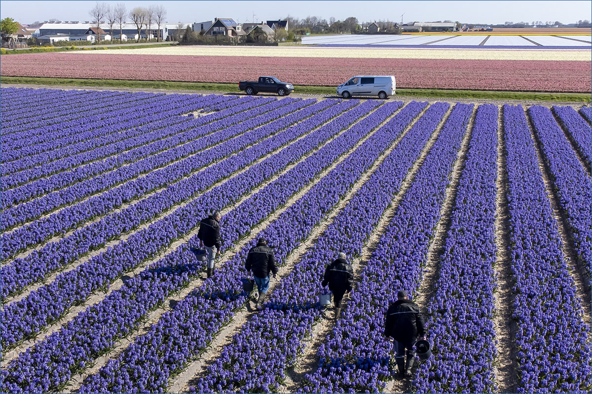 bedrijfsfotografie