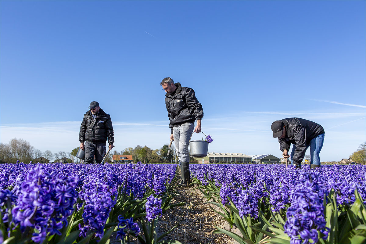 bedrijfsfotografie