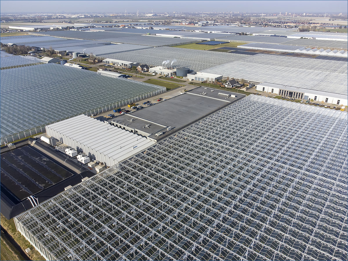 luchtfotografie glastuinbouw